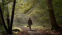 Postava s kloboukem kráčí lesní cestou za ranního slunce, paprsky světla mezi stromy