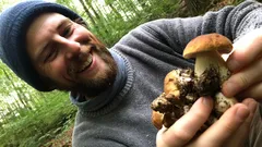 Radost houbařů: proč jsou právě tyto houby tak oblíbené mezi milovníky houbaření?