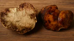 Čerstvé lanýže na dřevěném povrchu, vzácné houby používané v gastronomii