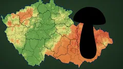 Mapa České republiky s ikonou houby, barevné rozlišení oblastí dle podmínek pro houbaření